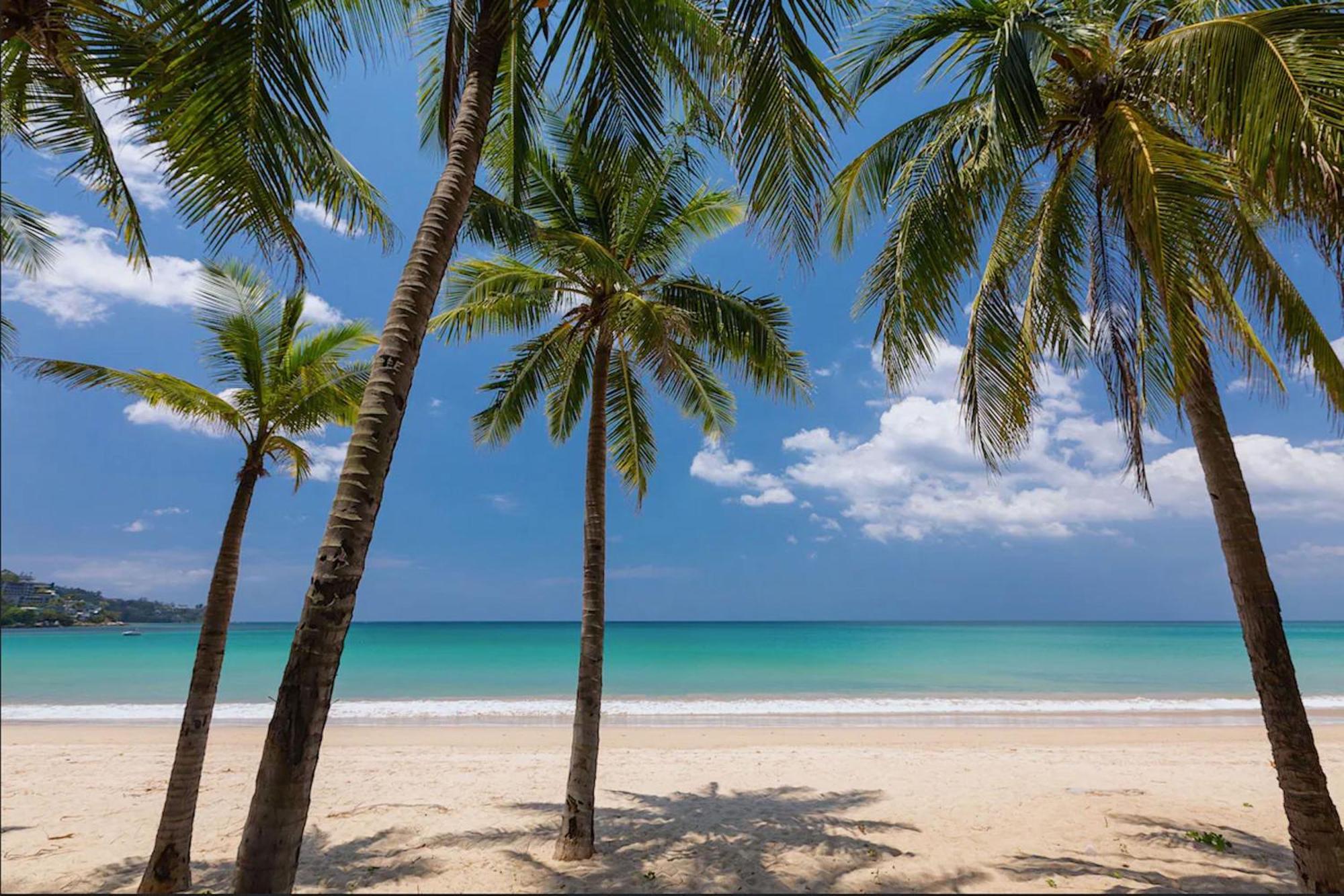 Appartement Relax & Recharge In Modern Comfort At The Hill View Tropics Ctg L607 Kamala Beach